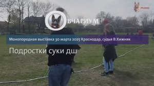 1 ОП Граница Миллениум ДЕЛЯ №68 / ПОДРОСТКИ СУКИ ДШ / КЧК КРАСНОДАР 30 марта`25