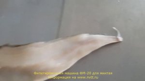Филетировочная машина для минтая ФМ-20