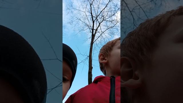 ввввавваааааа