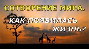 Сотворение мира | Как появилась жизнь | Смысл жизни