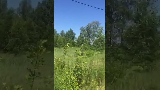 СНП Одуванчиково смотреть онлайн