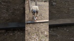 Потолок