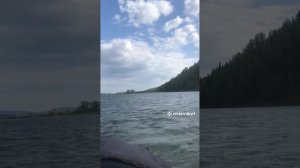 Открытие навигации 2023