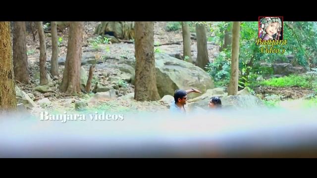 LALO LALO SADO LAVOO JANU || BANJARA SONG || #Banjara videosong || BANJARA VIDEOS смотреть онлайн