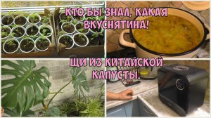 Медленно, но дело идёт! За это можно мастера премировать 🤭 Оранжерейные листья и рассада.