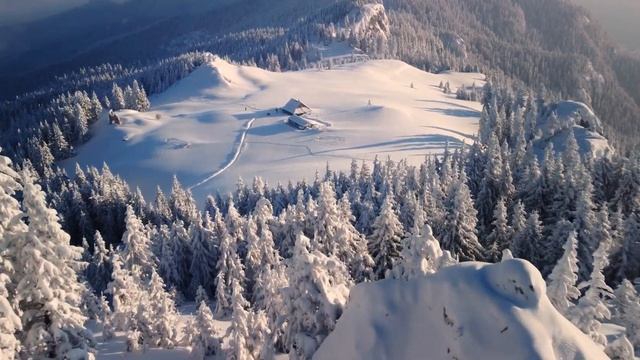 PIATRA MARE CHALET - CINEMATIC DJI MINI 2 смотреть онлайн
