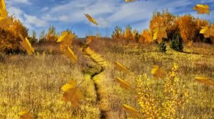 Осенний лист Муз А Новикова,ст В Харитонова  спела  Г Погорельская