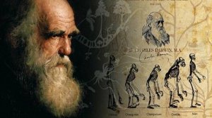 "Эволюция: факты и сомнения - неудобные вопросы науки"