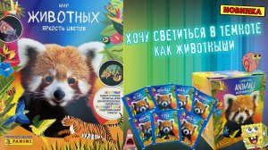 PANINI🦄#1 Альбом для наклеек Мир животных. Яркость цветов 2025г. Мне зашло!