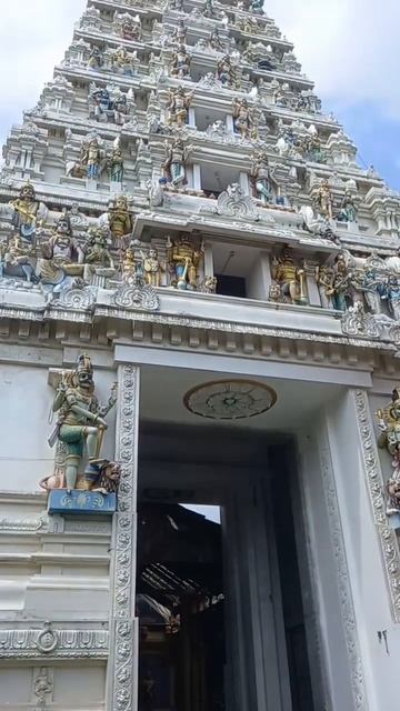 ஓம் நமசிவாய #vvip #omnamahshivaya #lordshiva #sivantemple #trending #viral #shorts #jaffna #srilank