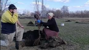 Сельские будни.Высаживаем деревья в саду и работаю в теплице 🤗