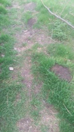 VID_20250330_140842