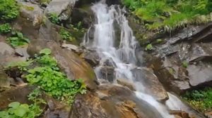 ПУСТЬ ДАЖЕ НЕ СТАНЕТ ОВЕЦ В ЗАГОНЕ И ВИНОГРАД НЕ ДАСТ ПЛОДА ВСЁ РАВНО Я БУДУ СЛАВИТЬ ГОСПОДА ЯХУШУА