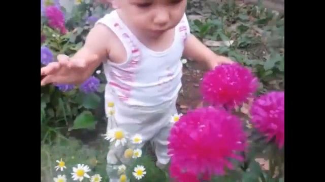 Дети цветы жизни! смотреть онлайн