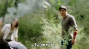 Primal film izle Türkçe Dublaj