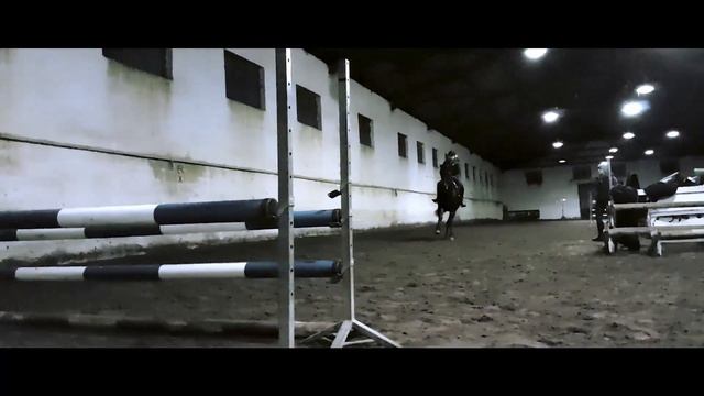 Pamela Equestrian Training Legia Kozielska смотреть онлайн