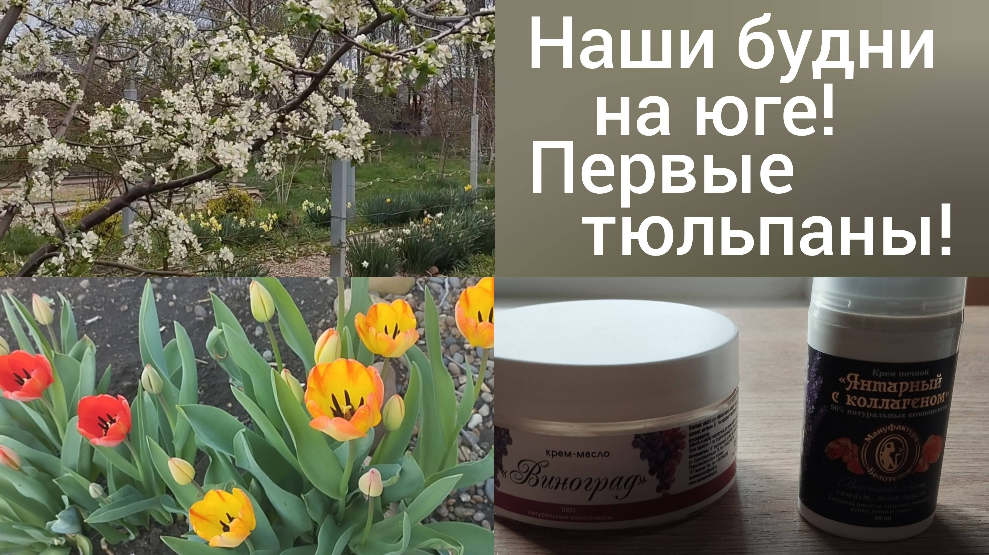 Переехали в Адыгею/Наши будни на юге/Блины с припеком/Подарок мужа/