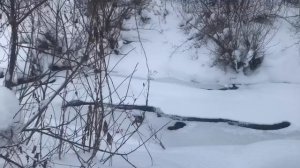 Приехал посмотреть заливные озёра