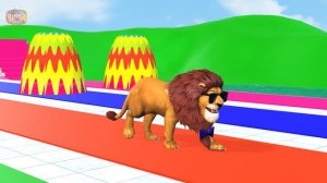 5 Giant Duck Cartoon,Tiger,Cow,Zebra,Kangaroo,Dog,Lion,Chicken Wild Animals Crossing Fountain 2023