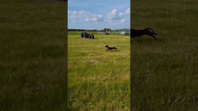 JOKE COMPILATION #44 смотреть онлайн