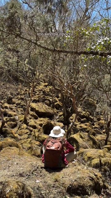 27 марта 2025 г. смотреть онлайн