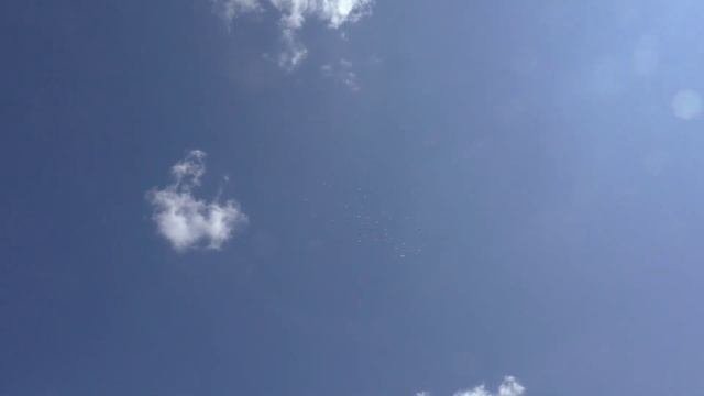 Молодежь - молодёжь ! А уже соображает ...