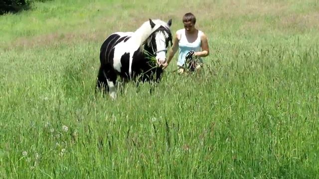 Big Benny смотреть онлайн