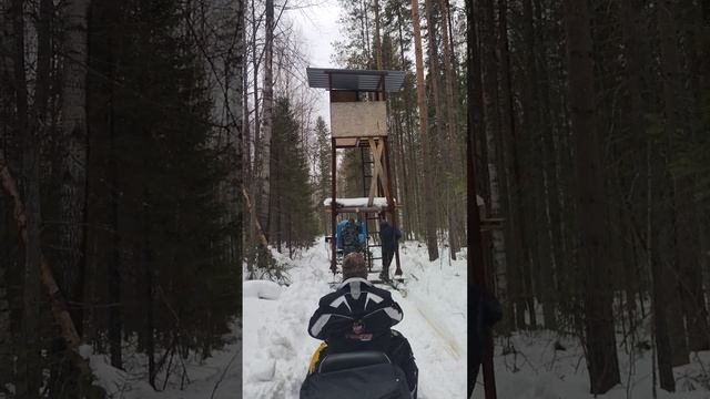 вышки охотничьи. ротация по участку.