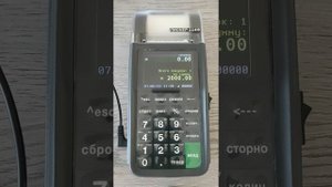 Пионер 114Ф: Предоплата и Аванс