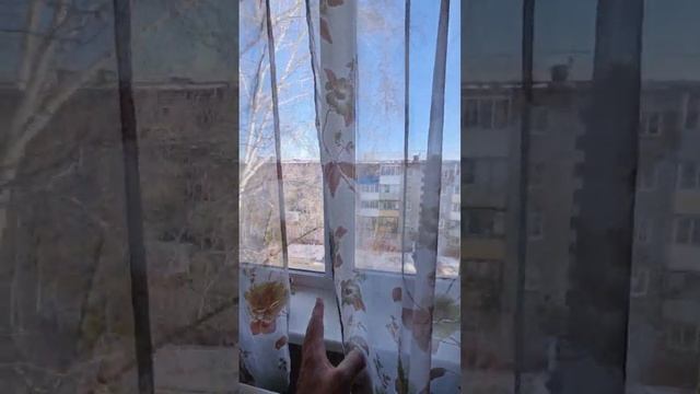 Купить квартиру в Барнауле| Купить Династия 24 Барнаул #квартира #продажаквартиры