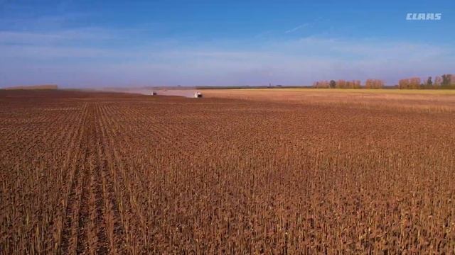 TRION 730 смотреть онлайн