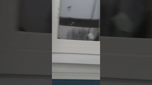 Подмосковье, 👇👇👇 смотреть онлайн