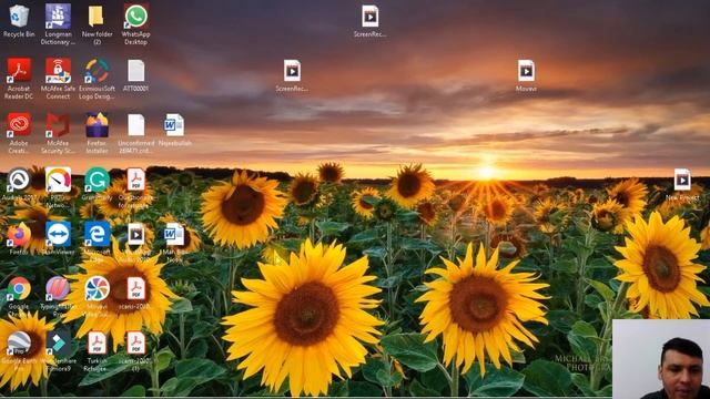 how to install movavi free смотреть онлайн