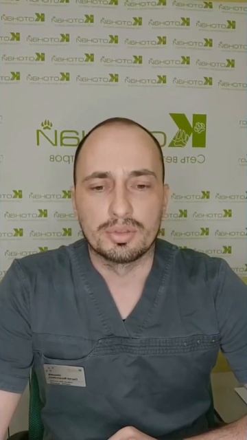 Болезни кошек и собак передающиеся человеку