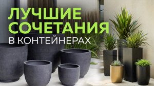Любой Сад Станет Красивым Быстро Если Использовать Этот Прием!