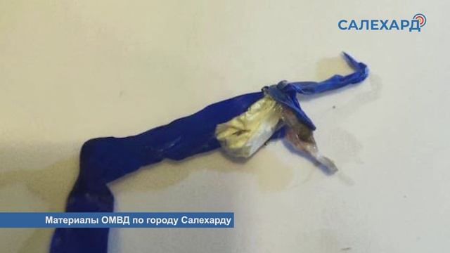 Салехард против наркотиков