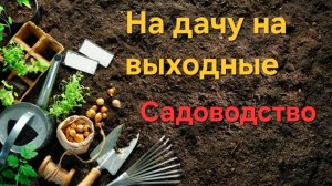 ВЛОГ: Дачный сезон 2025. Работы в саду март. #дача #сад #огород #дачница