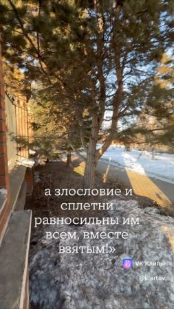 Правда Бога