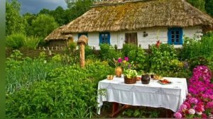 Смерека. Украинская народная песня.