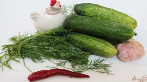 Огурцы малосольные (сухой посол)