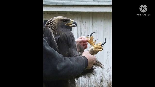 Uyarndhu Parandhidu смотреть онлайн