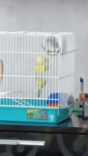 ты кидаешь в игнор смотреть онлайн