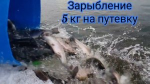 24 ноября 2021 г.