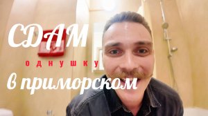 Аренда, СДАМ. Типовая планировка однокомнатной квартир застройщика ЛСР, ЖК Шуваловский.