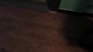 Лифты Ecomaks-(ЩЛЗ) @ г. Москва, Ореховый проезд, д. 9-3 (1996)