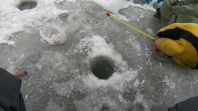 ЗИМОВА РИБАЛКА НА СИНЦЯ / ОХОТА НА РИБАЛКУ / СИНЕЦЬ / ПЛОТВА смотреть онлайн