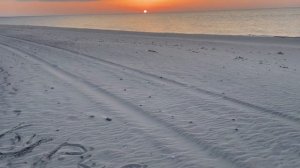 приезжайте в Куршале