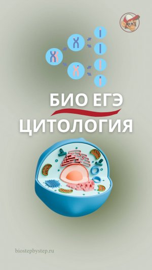 БИО ЕГЭ | ЗАДАНИЕ ПОВТОРЯЛОСЬ 4 РАЗА!