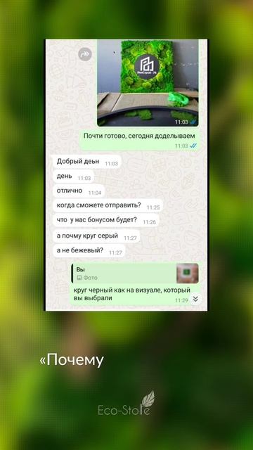 Фитостена из мха