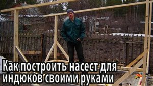 Как построить насест для индюков своими руками